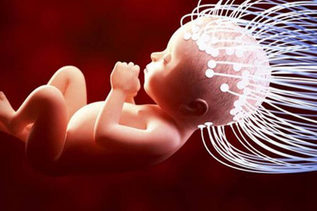 Comprueban que los niños intuyen cómo es la vida antes del nacimiento (Foto: Tomada de elconfidencial.com)