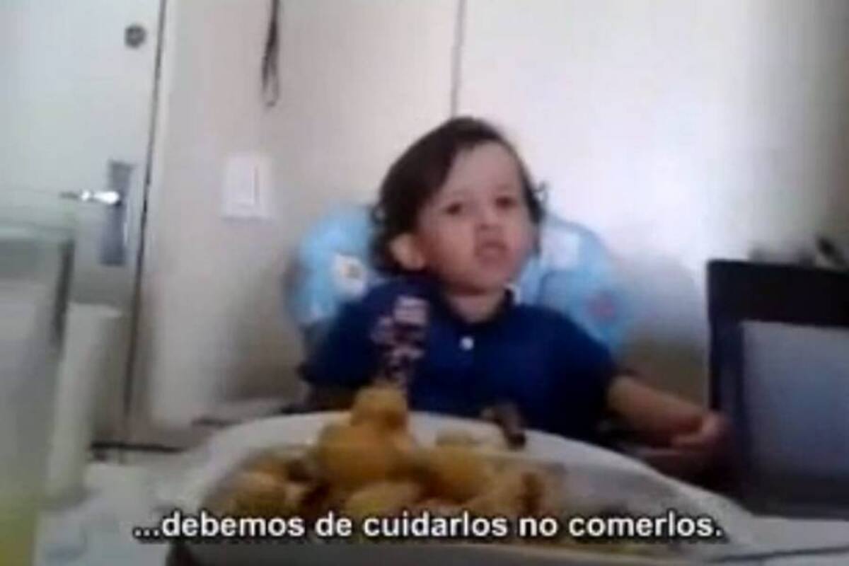 Niño explica a su madre por qué no quiere comer carne (Foto: Tomada de Internet/ VANGUARDIA LIBERAL)