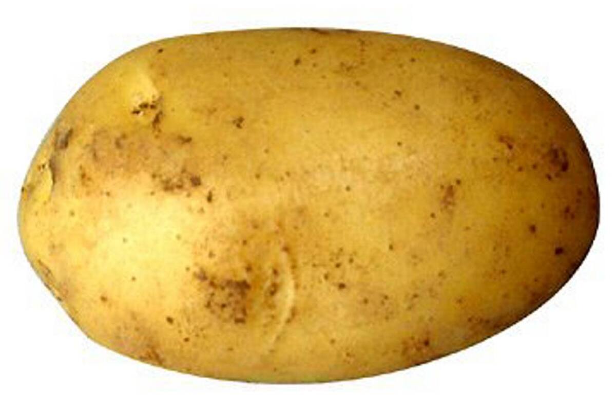 Le crecieron raíces en la vagina porque usaba una papa como anticonceptivo (Foto: Tomado de lapatilla.com)