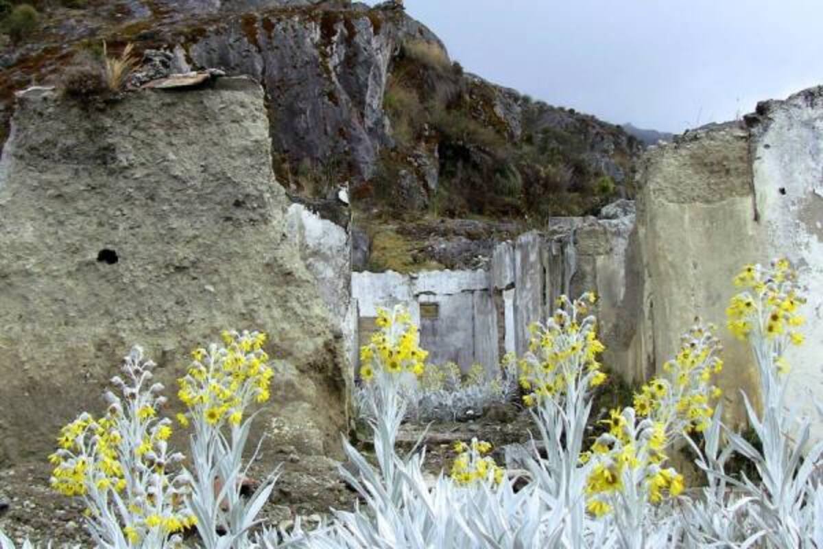 (Foto: Editson Chacón / VANGUARDIA LIBERAL)