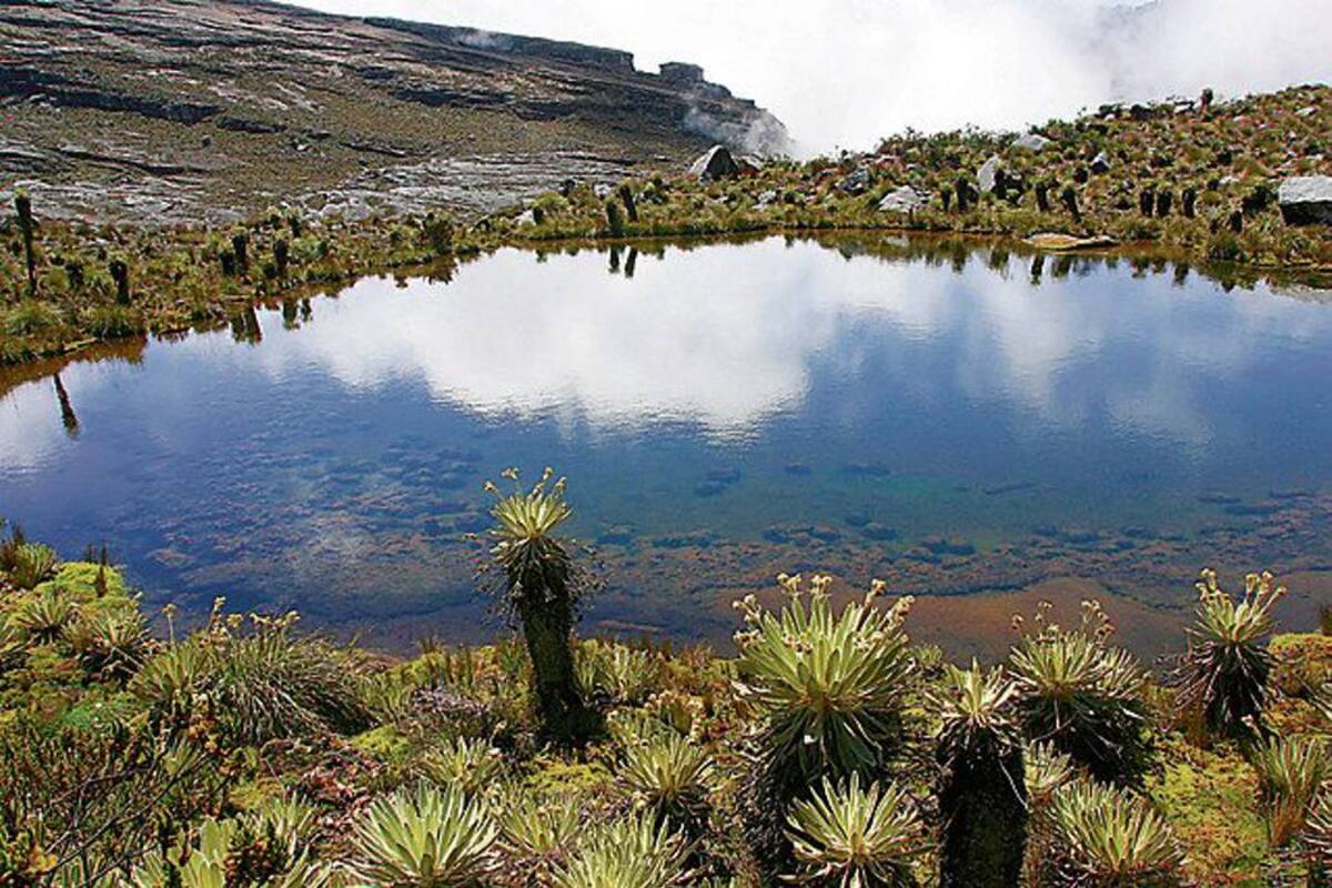 Procuraduría pidió a Unesco declarar los páramos como Patrimonio de la Humanidad (Foto: Colprensa /VANGUARDIA LIBERAL)