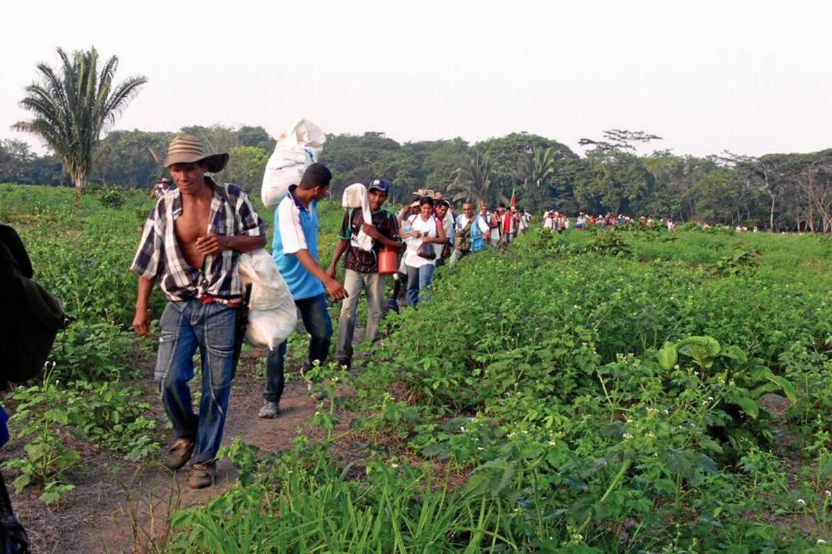 La reparación a las víctimas se hará gradualmente (Foto: Archivo/VANGUARDIA LIBERAL)