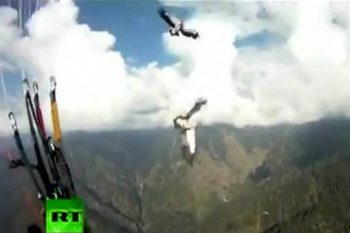 Un águila chocó con un parapentista en el Himalaya
