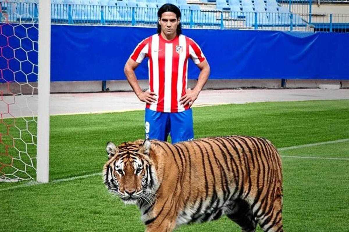 Vea como Falcao posa con tigres de verdad (Foto: Tomada de Internet/VanguardiaLiberal)