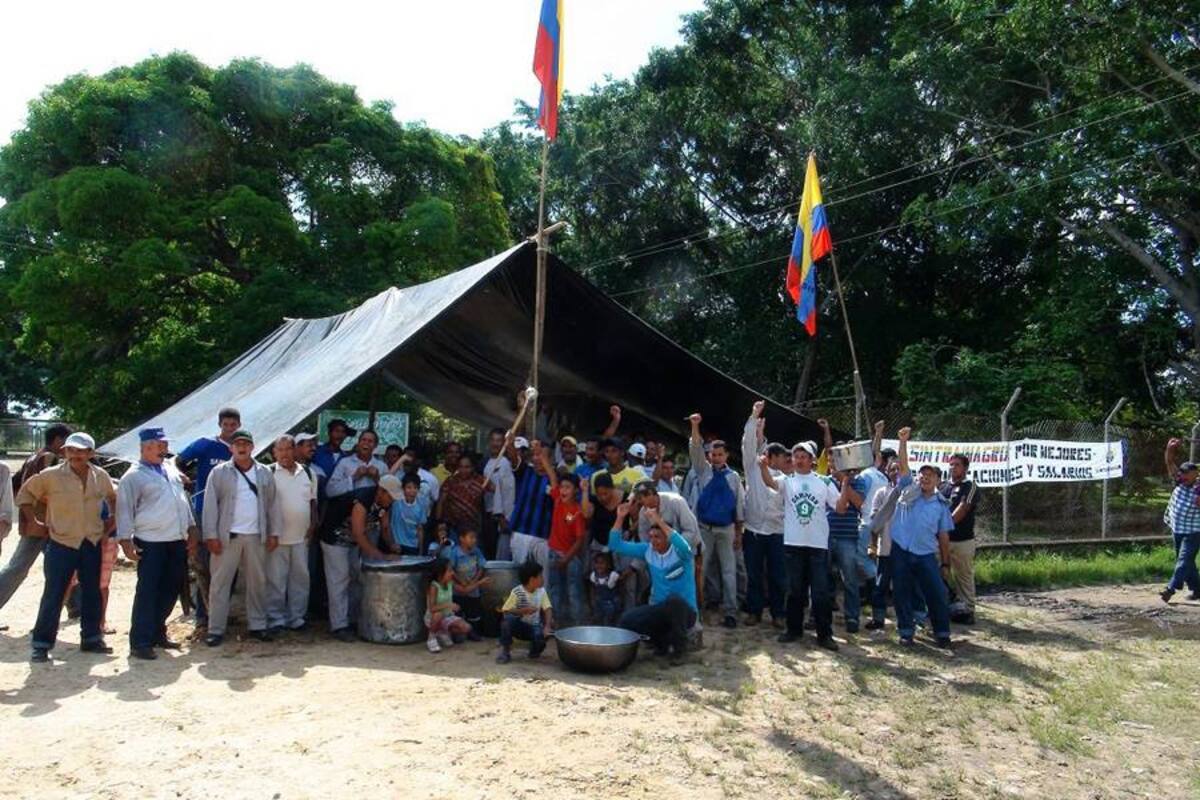 Por lo menos unos 3.000 trabajadores acataron el llamado de los sindicatos y se unieron al paro laboral en extractoras palmeras de Puerto Wilches. (Foto: Suministrada/VANGUARDIA LIBERAL)