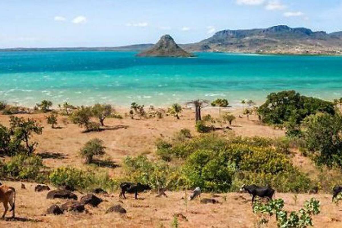Hallan indicios de continente hundido en el Atlántico Sur frente a Brasil (Foto: Tomada de Internet/ VANGUARDIA LIBERAL)