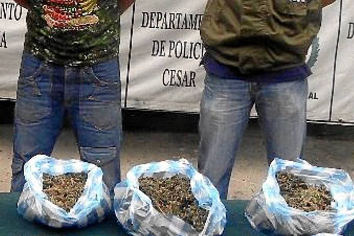 Policía incauta tres toneladas de marihuana en el Valle (Foto: Archivo/ VANGUARDIA LIBERAL)