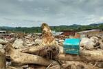 Aprueban 40 mil millones para atender emergencia en Mocoa