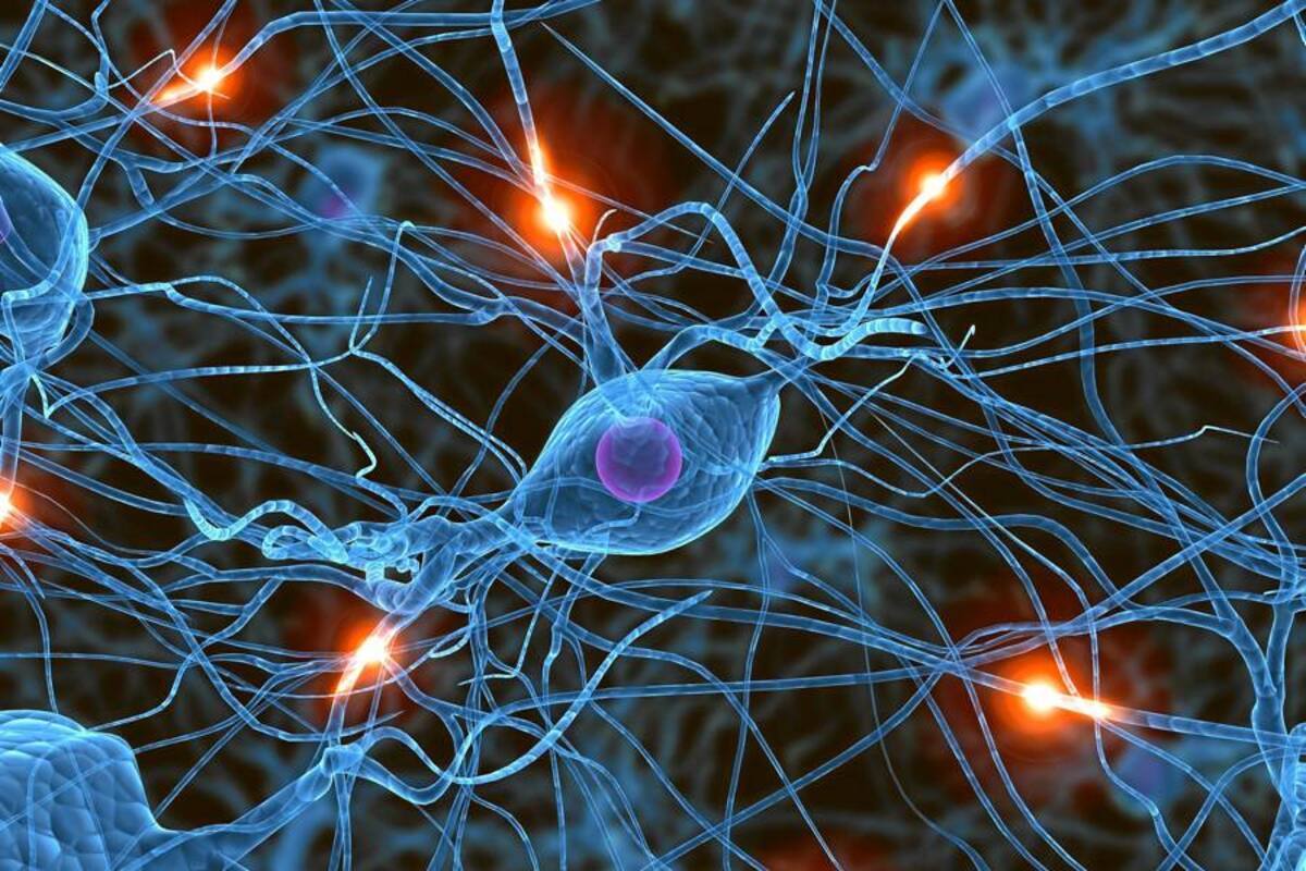 Nuevo y prometedor tratamiento de la parálisis cerebral (Foto: TOMADA DE INTERNET)