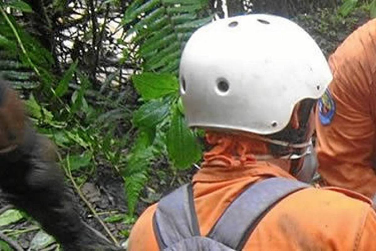 Muere sepultado un trabajador en Armenia (Foto: Tomada de internet/VANGUARDIA LIBERAL)