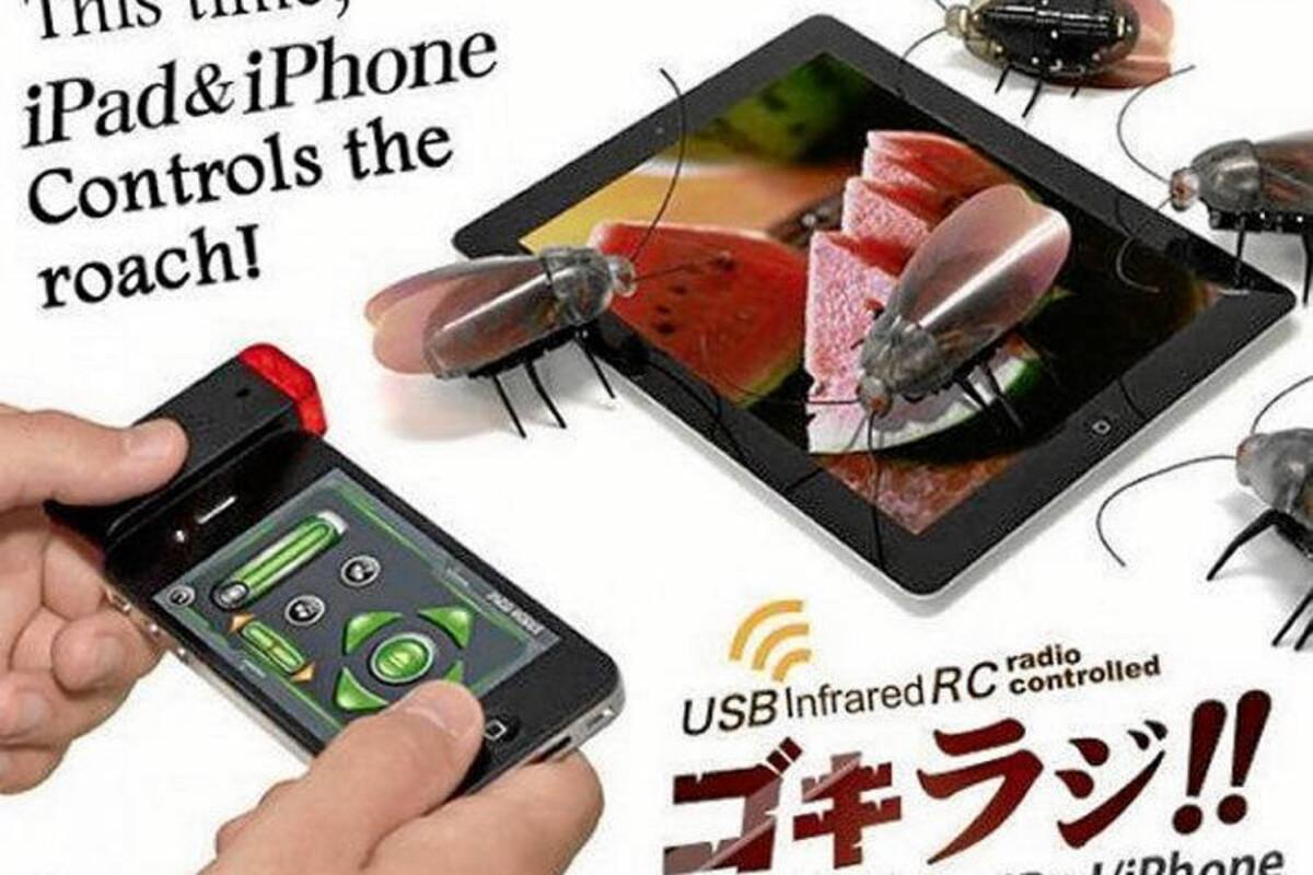 Una cucaracha robot es el nuevo juguete de moda en Japón (Foto: Tomado de Internet/ VANGUARDIA LIBERAL)