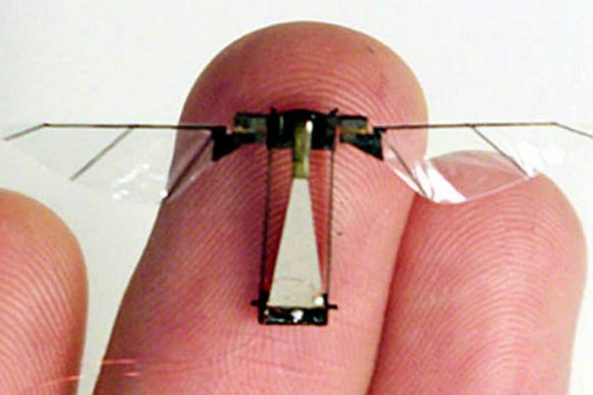 Crean “robot-mosca” para espionaje (Foto: Tomada de Internet/ VANGUARDIA LIBERAL)