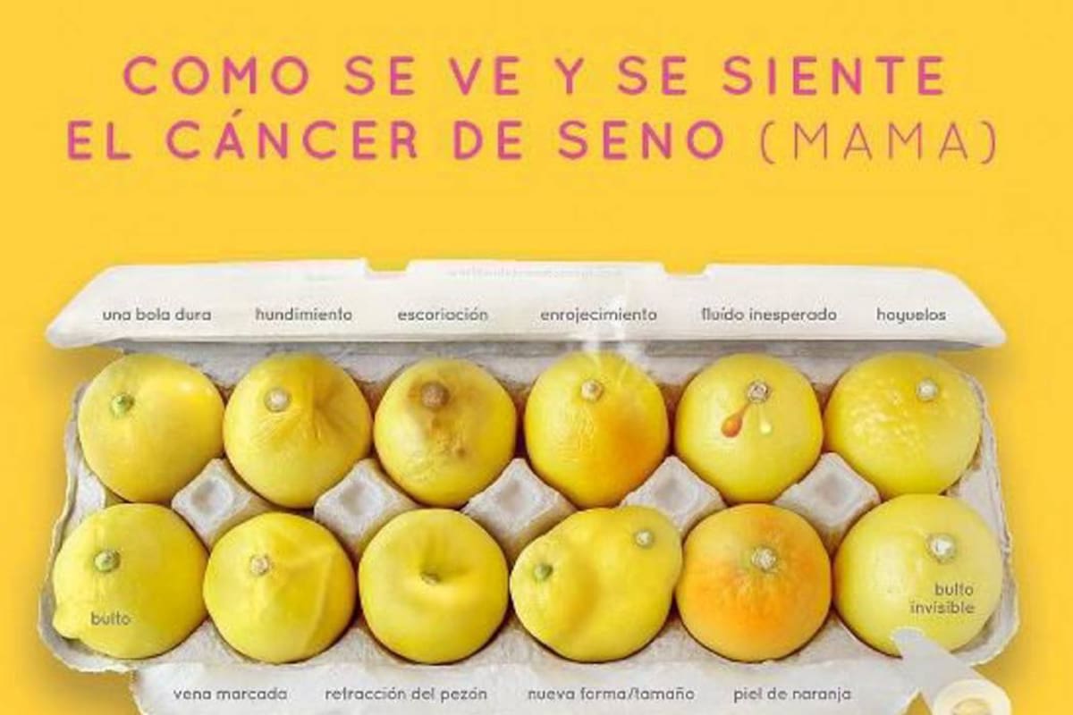 Una usuaria de Facebook comentó su experiencia personal vinculada al cáncer de mama. (Foto: Archivo/VANGUARDIALIBERAL)