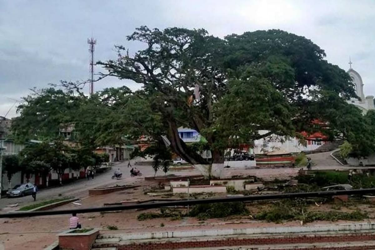 Fuerte vendaval destruyó viviendas y árbol insignia de Landázuri (Foto: Suministrada/ VANGUARDIA LIBERAL)
