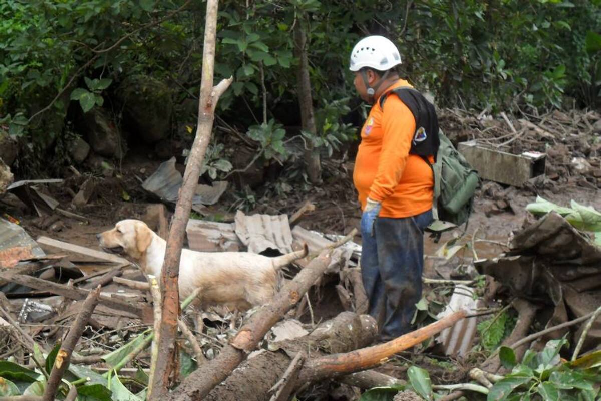 Conozca el escuadrón de rescate canino de la Defensa Civil (Foto: Suministrada/VANGUARDIA LIBERAL)