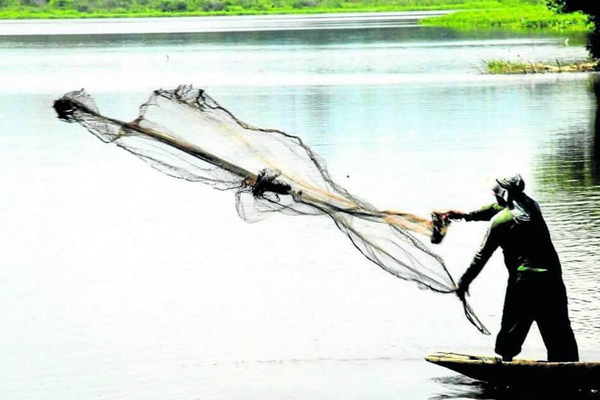 'Ya casi no se consiguen peces en el río Magdalena en Santander' (Foto: Edgar Pernett/VANGUARDIA LIBERAL)
