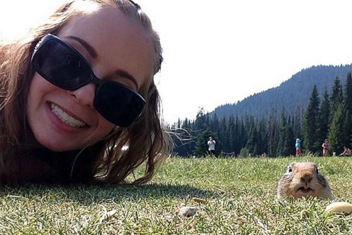 La selfie con una ardilla saliendo de su agujero conquista la red (Foto: Tomado de planetacurioso.com)