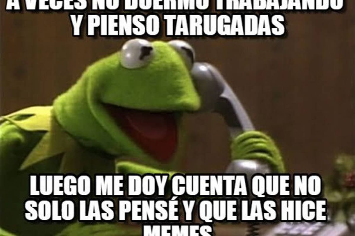 Las Rana Rene Memes Los memes que convirtieron a la rana René en contenido viral de redes