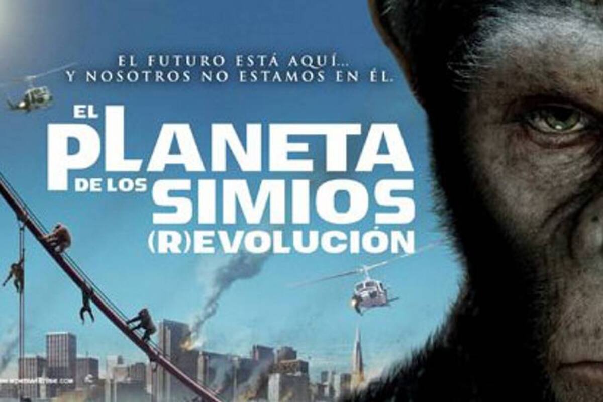En el primer lugar, por segunda semana consecutiva, continúa “El planeta de los simios: Evolución”, con 138.128 asistentes en 156 salas de cine. (Foto: Tomada de internet/VANGUARDIA LIBERAL)
