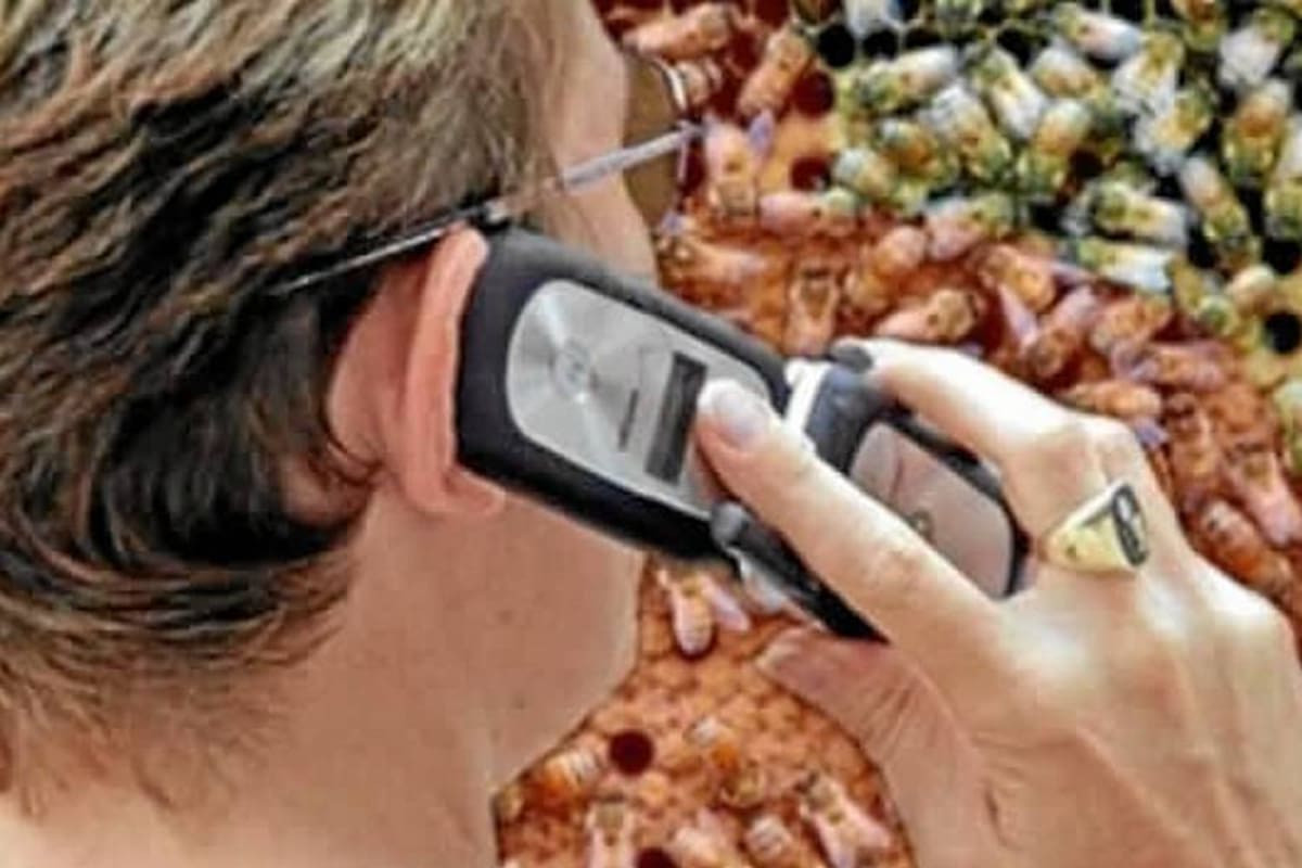 Se incrementó casi en 20% las peticiones, quejas y reclamos en telefonía móvil (Foto: Tomada de internet / VANGUARDIA LIBERAL)