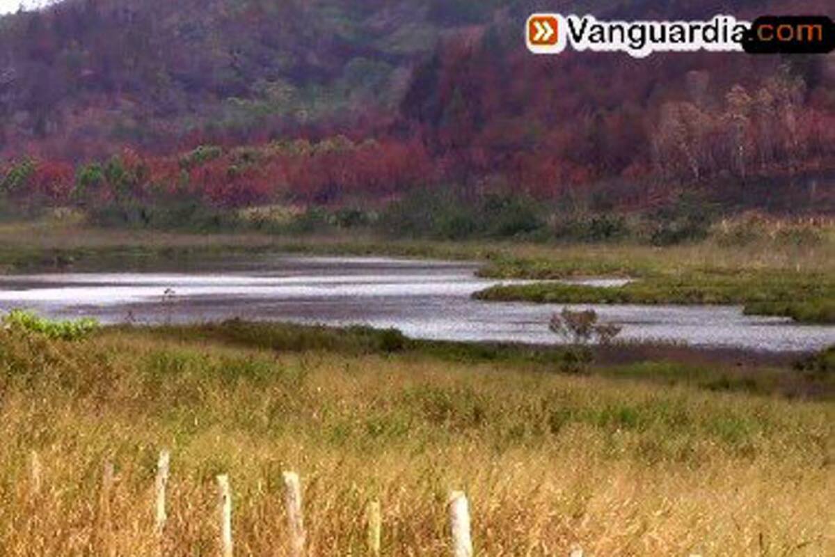 El humedal, una riqueza natural para preservar (Foto: Foto Luis Alfonso Cárdenas/VANGUARDIA LIBERAL)