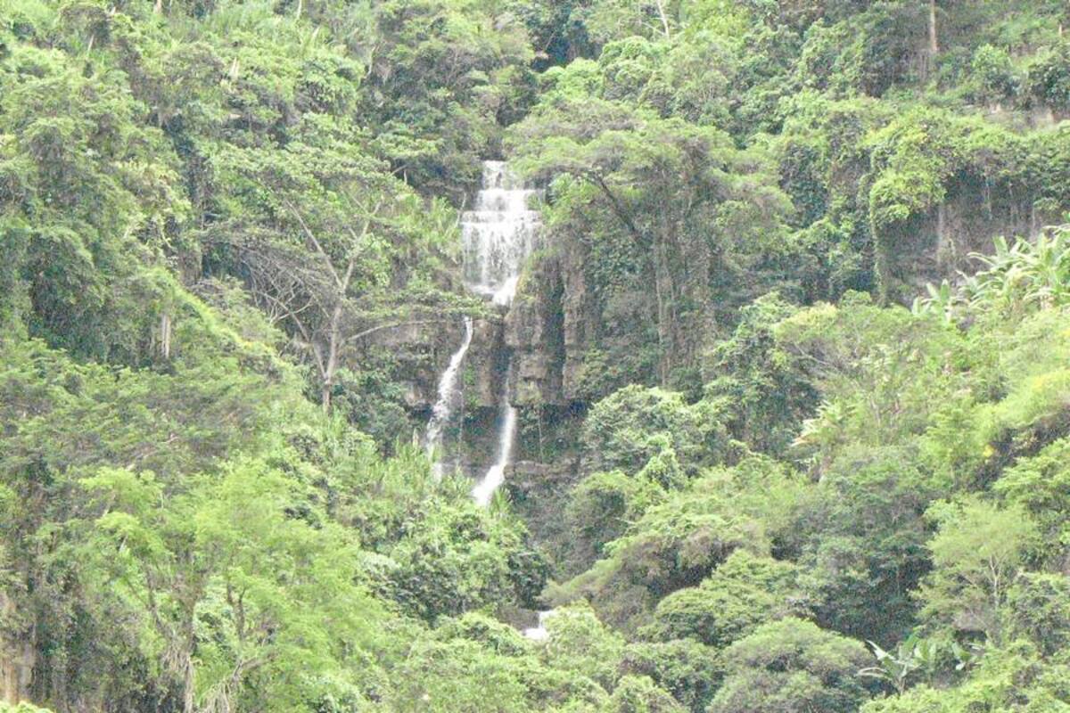 Indígenas formarán como expertos a extranjeros en el cuidado de los recursos naturales (Foto: Archivo Vanguardia Liberal )