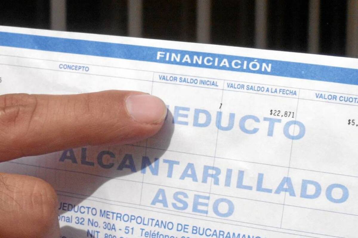 ¿Pagaría un excedente en su factura de servicios públicos para conservar los bosques? (Foto: Archivo/VANGUARDIA LIBERAL)