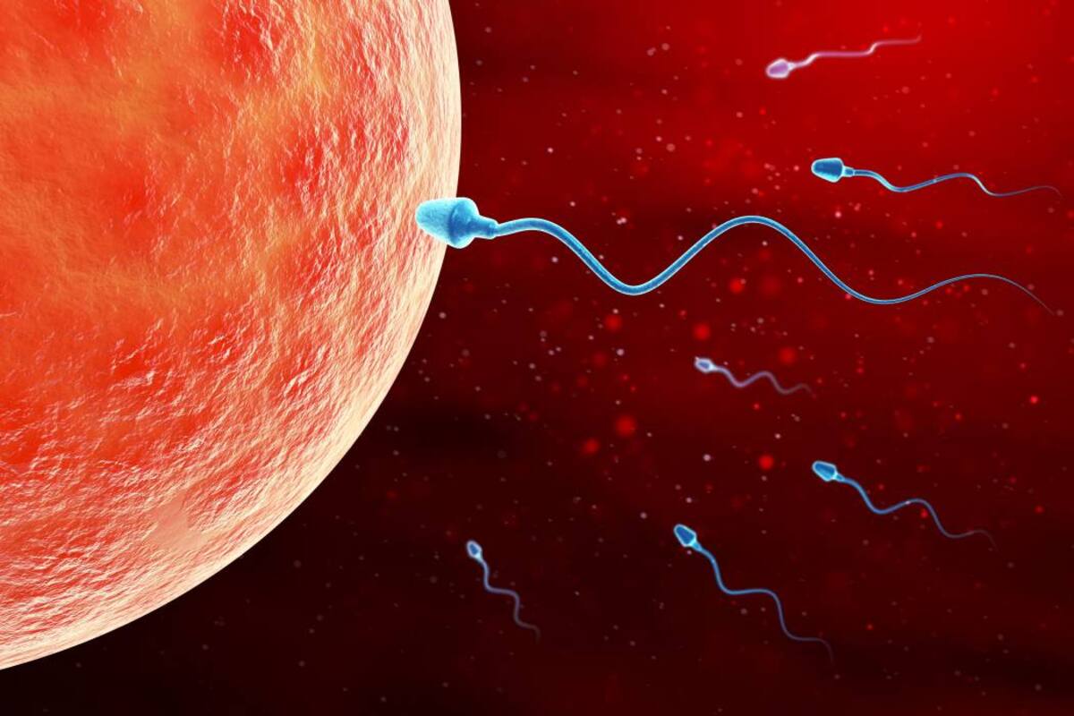 Mutación hereditaria en esperma provoca cáncer en varios bebés europeos. (Foto: Archivo/VANGUARDIA)