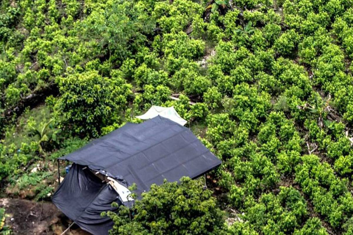 Denuncian que ataque armado dejó ocho muertos y 52 heridos en Tumaco (Foto: Colprensa /VANGUARDIA LIBERAL)