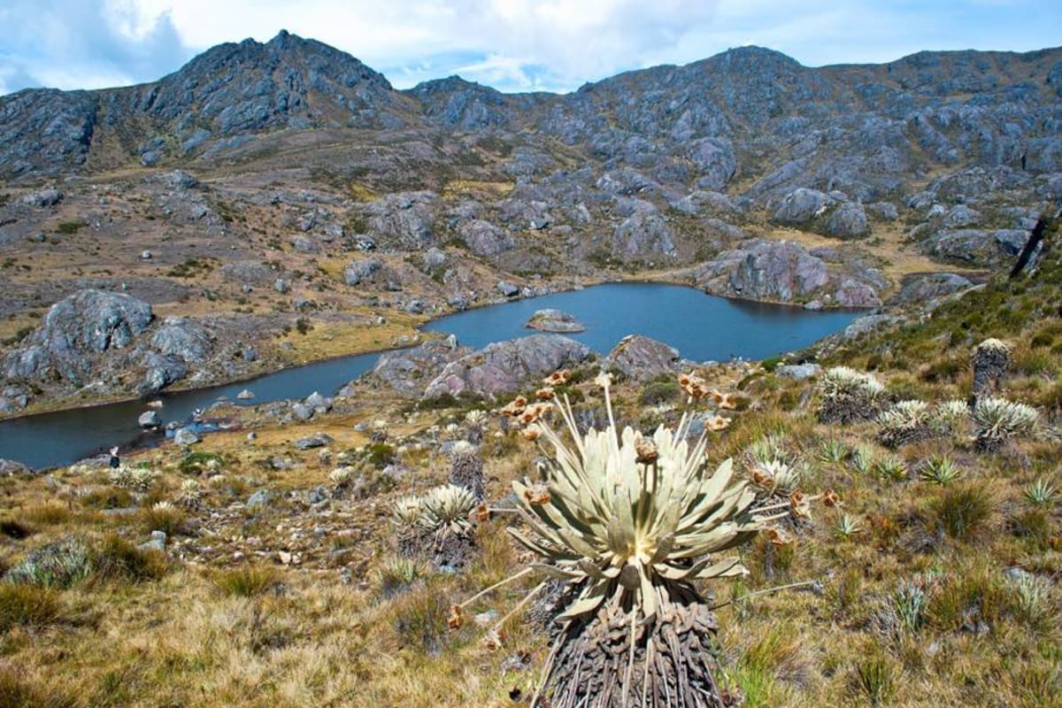 Dos propuestas llevará la Cdmb al debate sobre delimitación del páramo de Santurbán (Foto: Archivo/VANGUARDIA LIBERAL)
