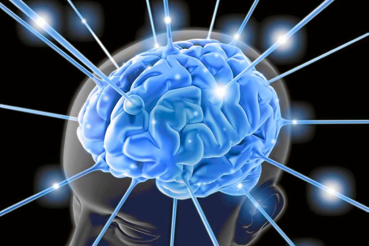 Comer poco activa una molécula que mantiene joven el cerebro. (Foto: Archivo/ VANGUARDIA LIBERAL)