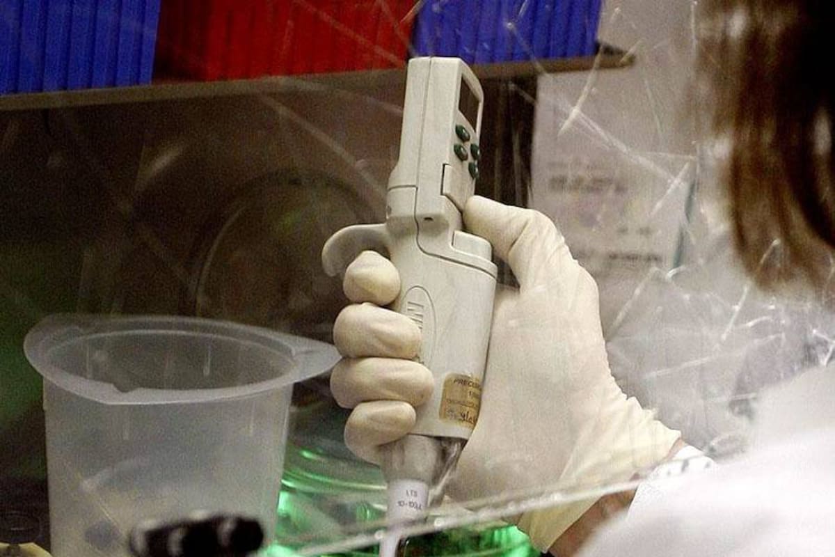 Científicos descubren que los vasos sanguíneos ayudan a erradicar tumores (Foto: Archivo, VANGUARDIA LIBERAL)