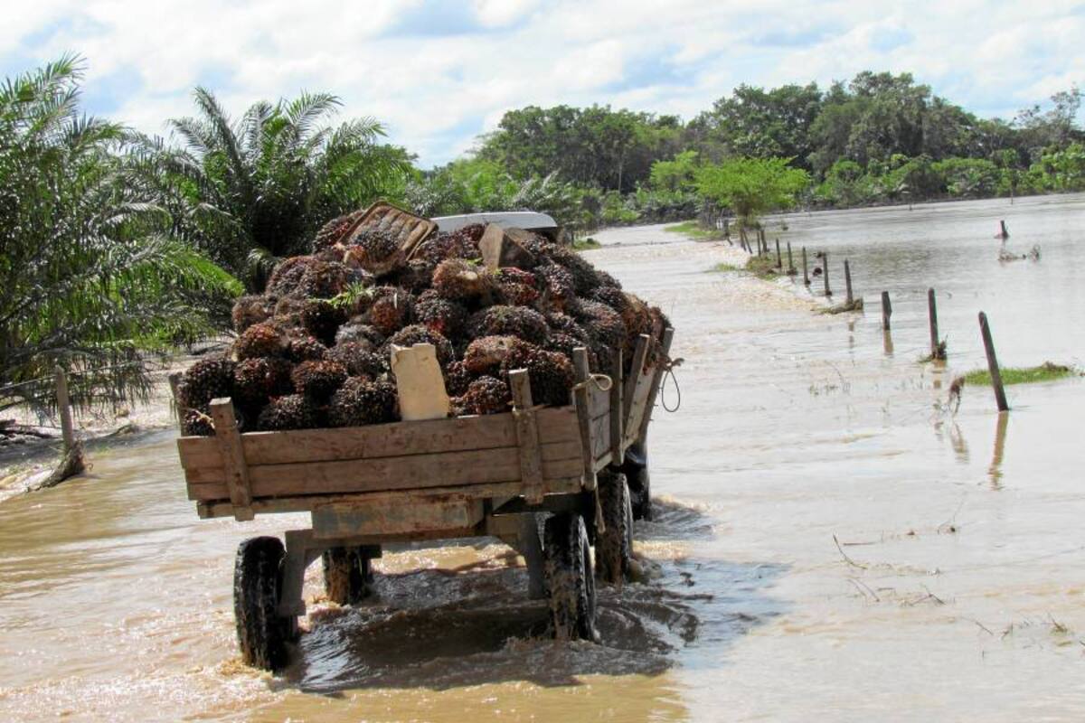 Río Lebrija inundó las zonas bajas de Sabana y Rionegro (Foto: Archivo/VANGUARDIA LIBERAL)