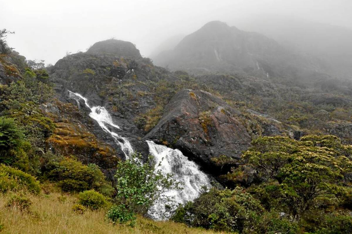 El Humboldt dio concepto favorable para Parque Regional Natural de Santurbán (Foto: César Flórez / VANGUARDIA LIBERAL)