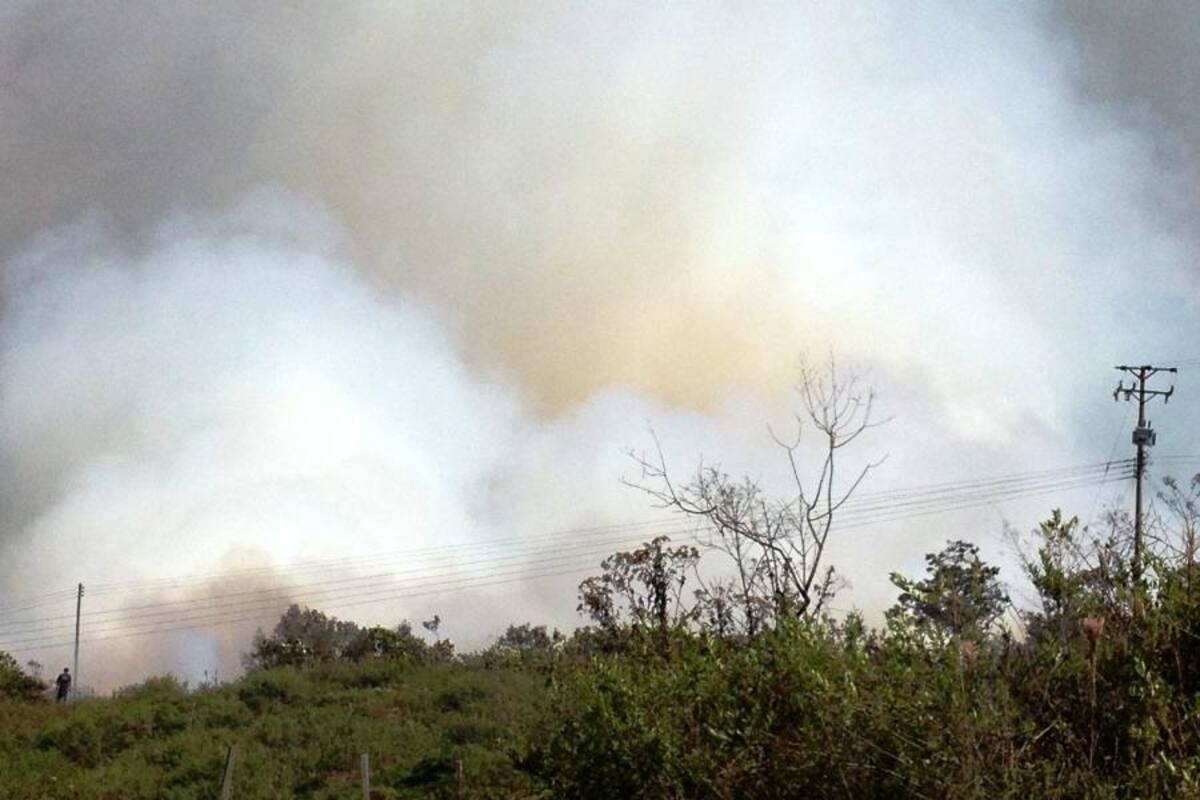 Controlado incendio forestal entre San Gil y Mogotes (Foto: Archivo/VANGUARDIA LIBERAL)