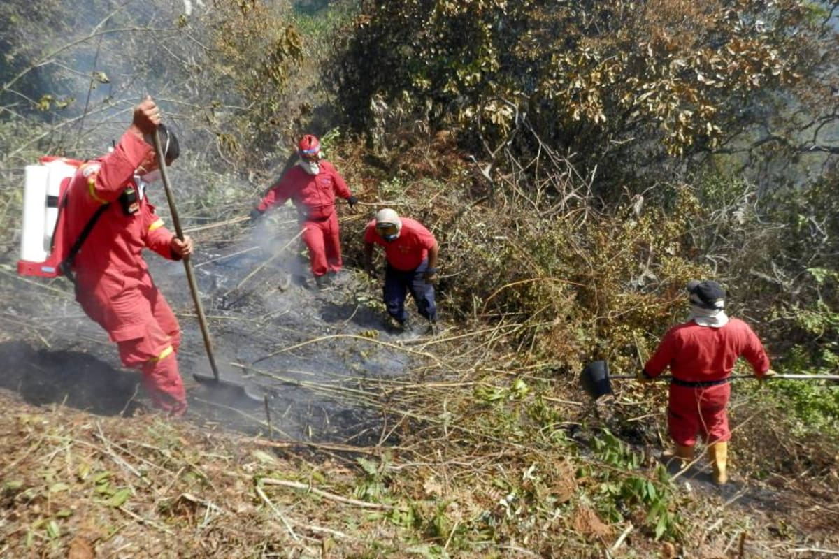 30 municipios de Santander en alerta roja por incendios forestales (Foto: Archivo/VANGUARDIA LIBERAL)