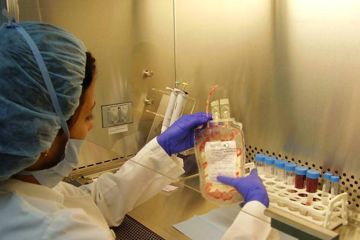 Estudio revela que aceite de pescado puede bloquear efectividad de la quimioterapia (Foto: Archivo, VANGUARDIA LIBERAL)