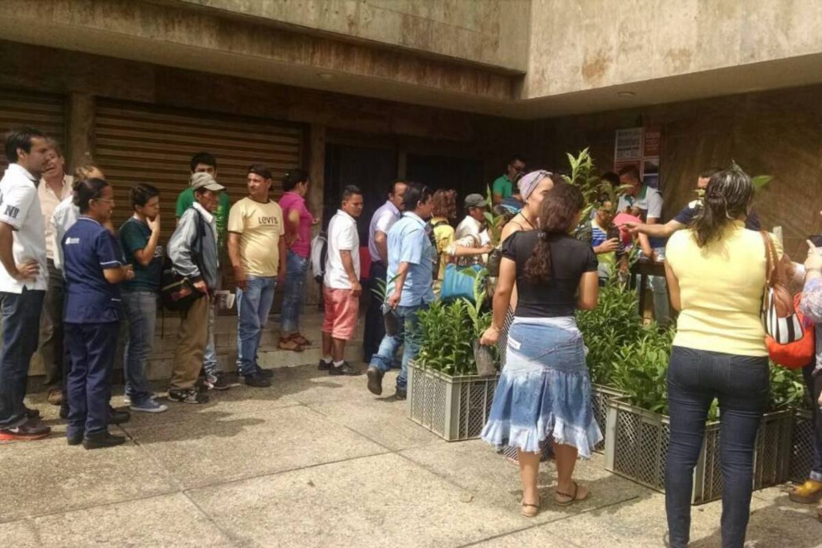 4.500 árboles entregaron Vanguardia Liberal y la Cdmb