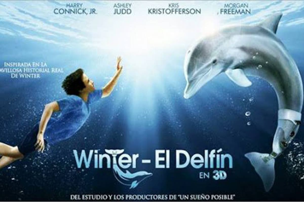 Winter El Delfín 2 (Foto: SUMINISTRADA /VANGUARDIA LIBERAL)