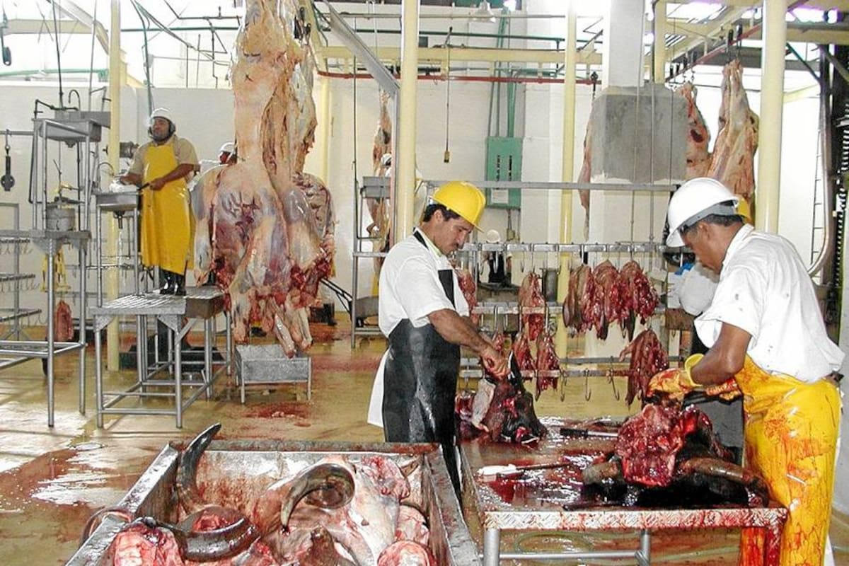 Sabana de Torres quiere el ‘frigorífico regional’ (Foto: Archivo/VANGUARDIA LIBERAL)