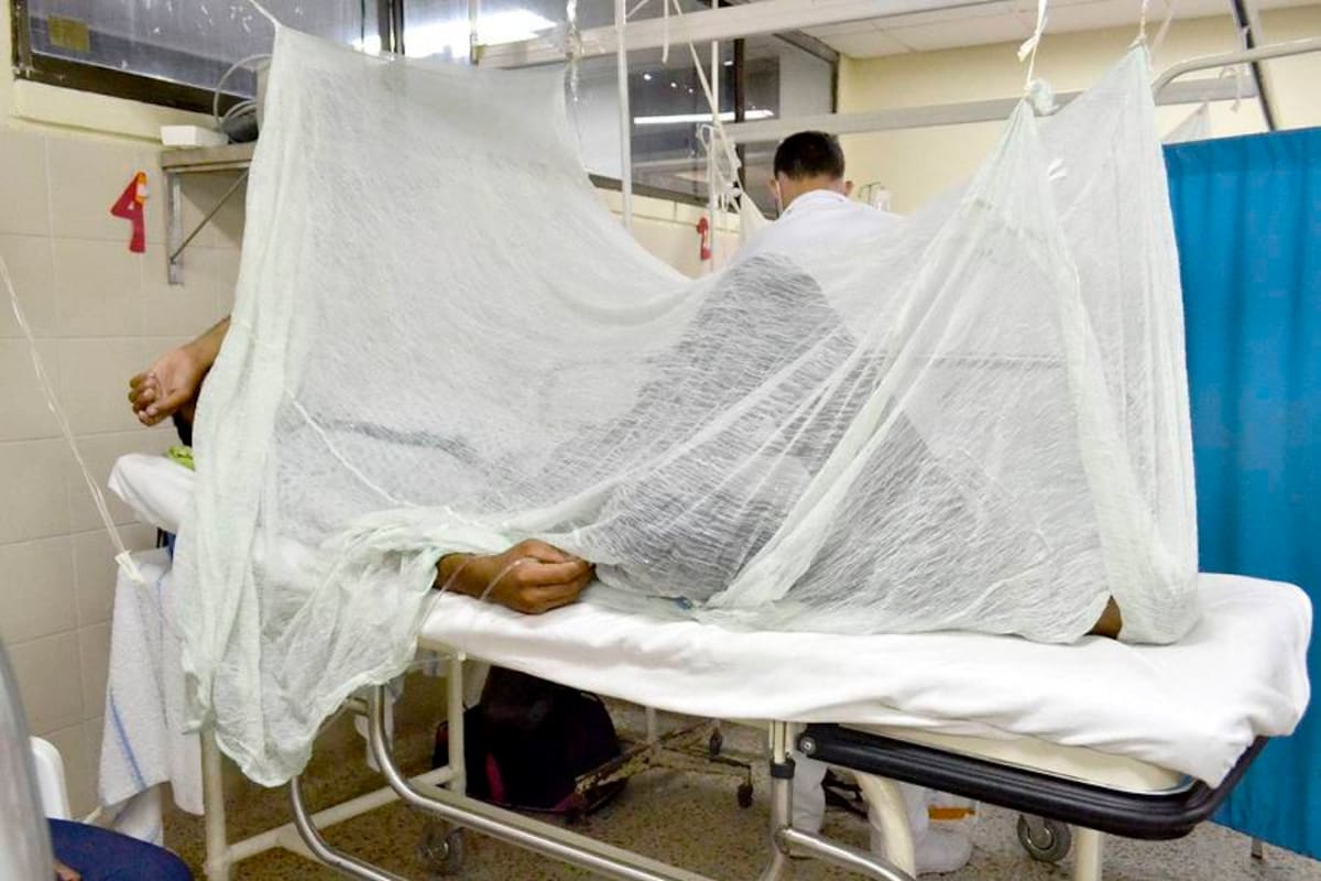 Más de 600 mil personas mueren al año a causa de la malaria, la mayoría son niños (Foto: Archivo/VANGUARDIA LIBERAL)