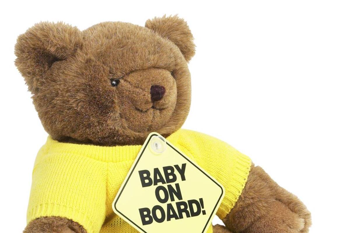 Identifican a ladrón por abusar de un oso de peluche después de un robo (Foto: ARCHIVO/VANGUARDIALIBERAL)