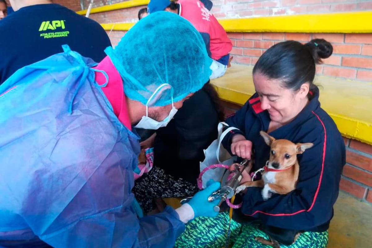 Para esta iniciativa fueron asignados $16.500.000. (Foto: suministrada / VANGUARDIA)