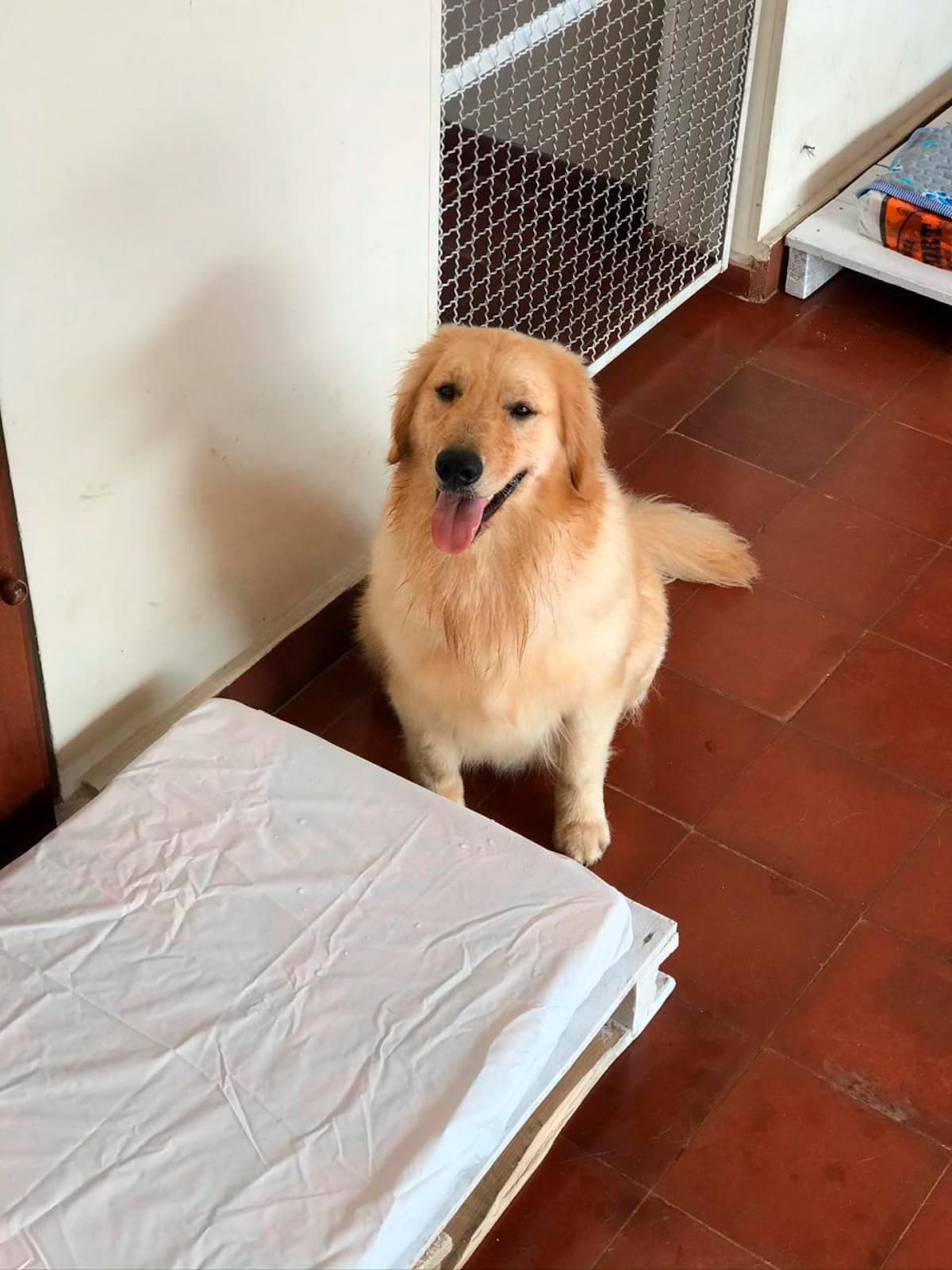 Foto suministrada: VANGUARDIA