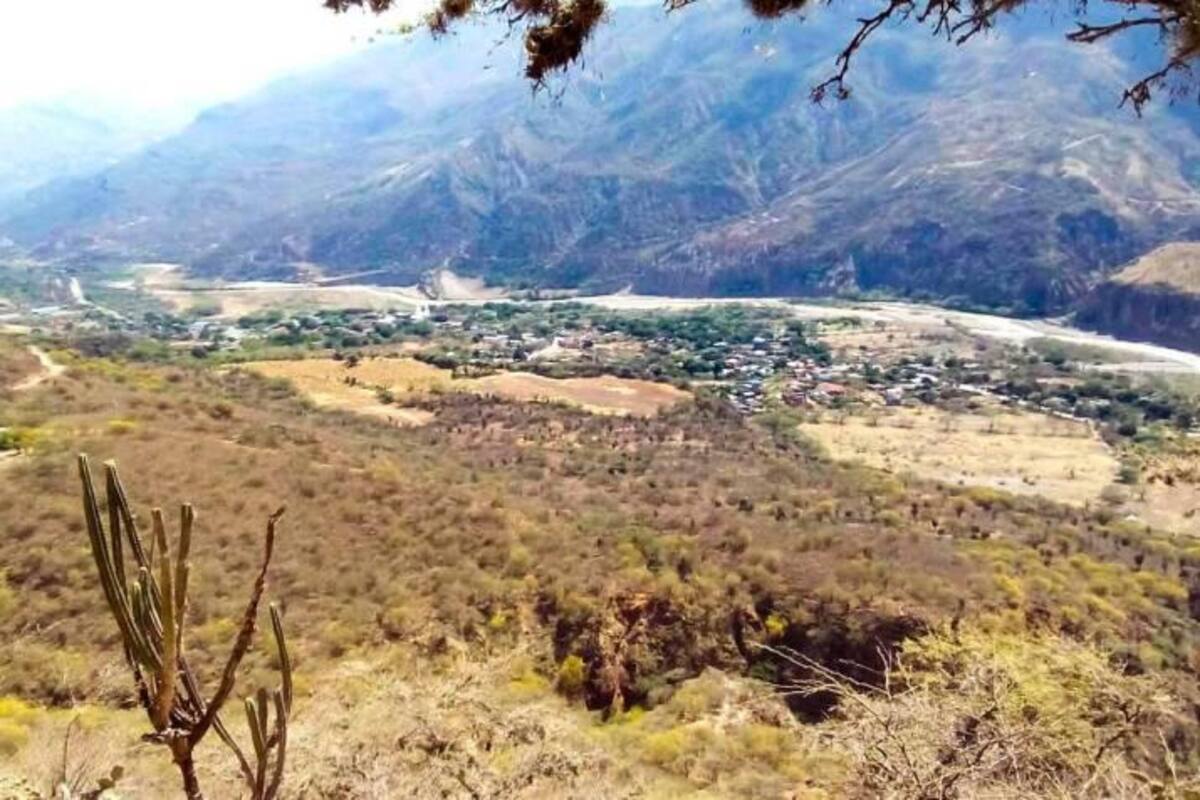 Suministrada/Vanguardia