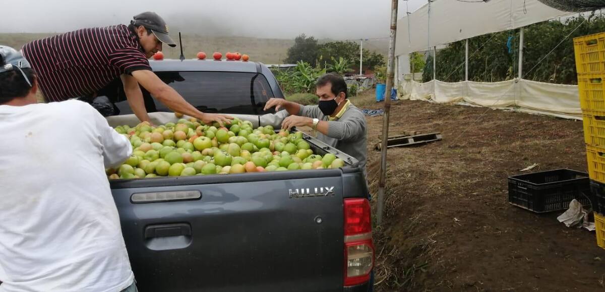 Fotos suministradas: Justo José Pimiento
