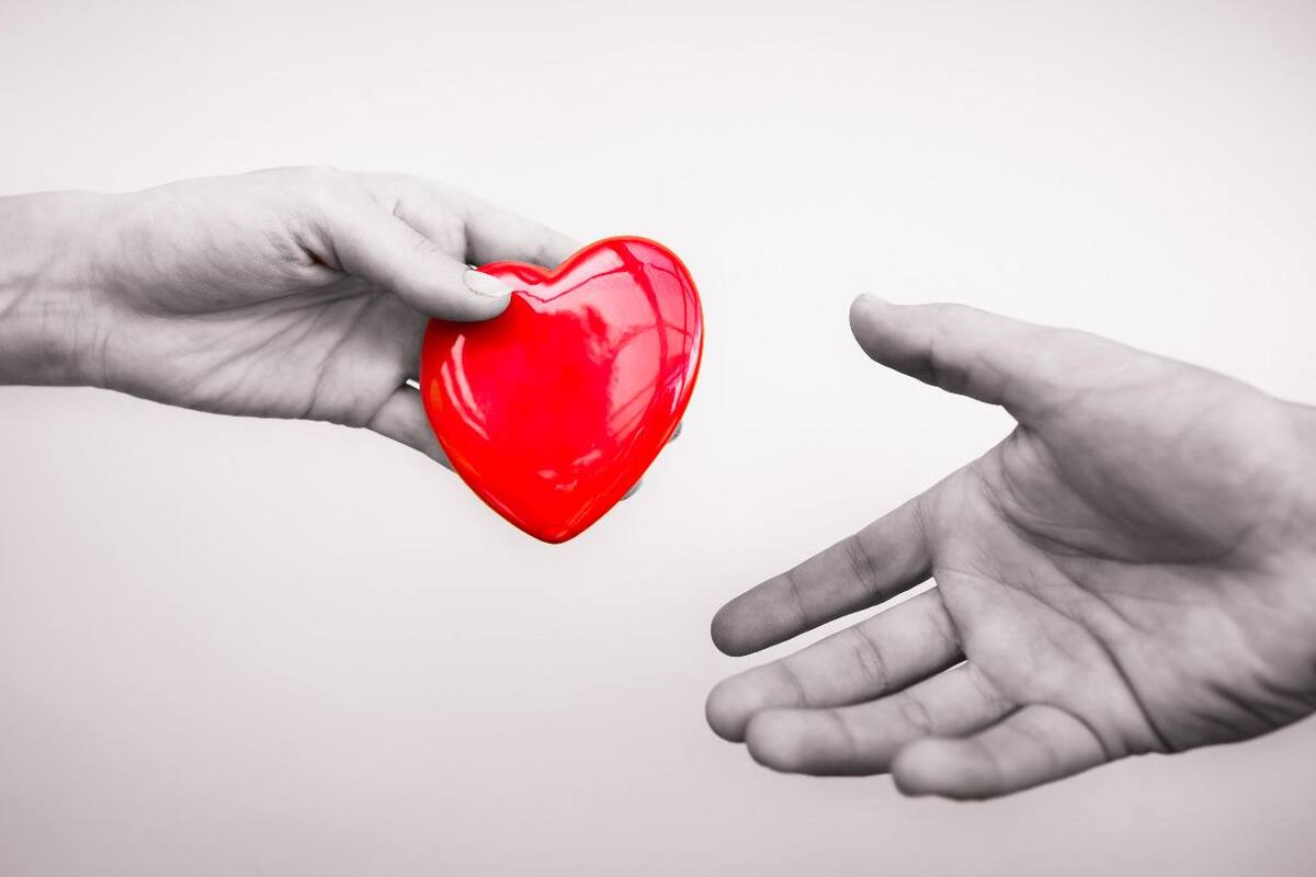 Un corazón, un hígado y dos riñones han sido trasplantados en el departamento durante la emergencia sanitaria.