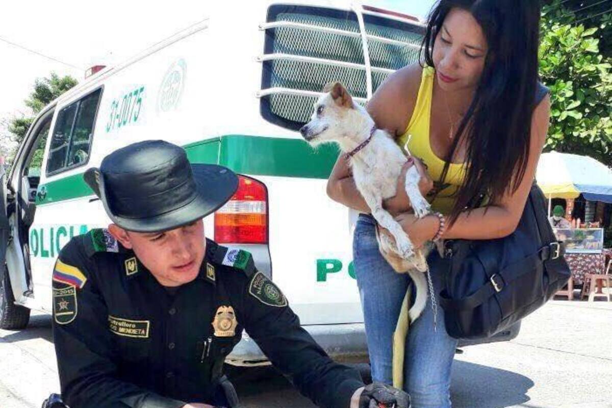 Suministrada por la Fundanción Comando Activista de Derecho Animal y Ambiental