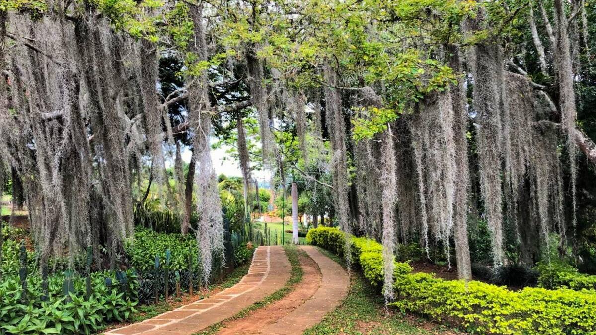 Barichara, el pueblo más lindo de Colombia, celebra sus 316 años
