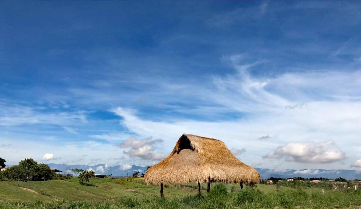 Julio César Alvarado
